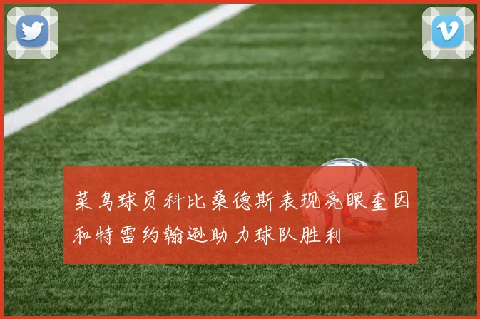 菜鸟球员科比桑德斯表现亮眼奎因和特雷约翰逊助力球队胜利