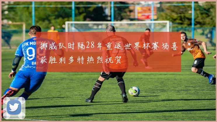 挪威队时隔28年重返世界杯赛场喜获胜利多特热烈祝贺