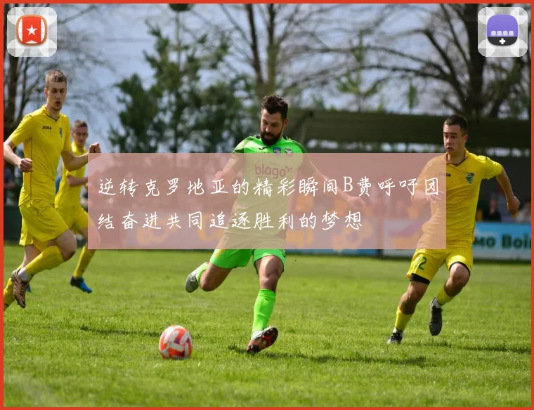 逆转克罗地亚的精彩瞬间B费呼吁团结奋进共同追逐胜利的梦想